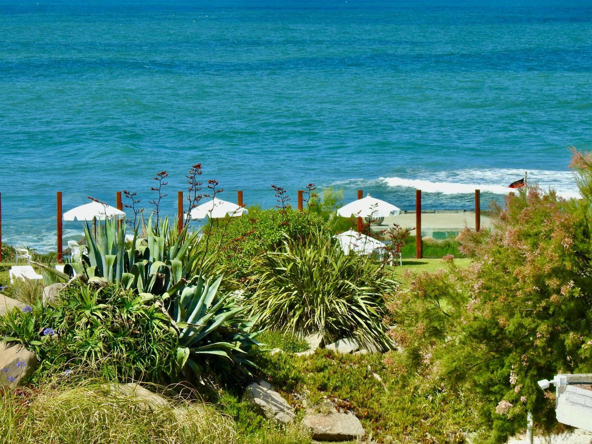 Ili Ili Hotel Boutique Μαρ ντελ Πλάτα Εξωτερικό φωτογραφία
